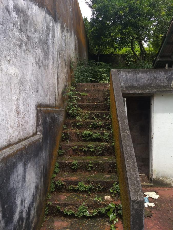 Prédio Inteiro - Foto 4