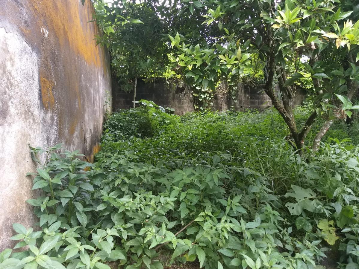 Prédio Inteiro - Foto 8