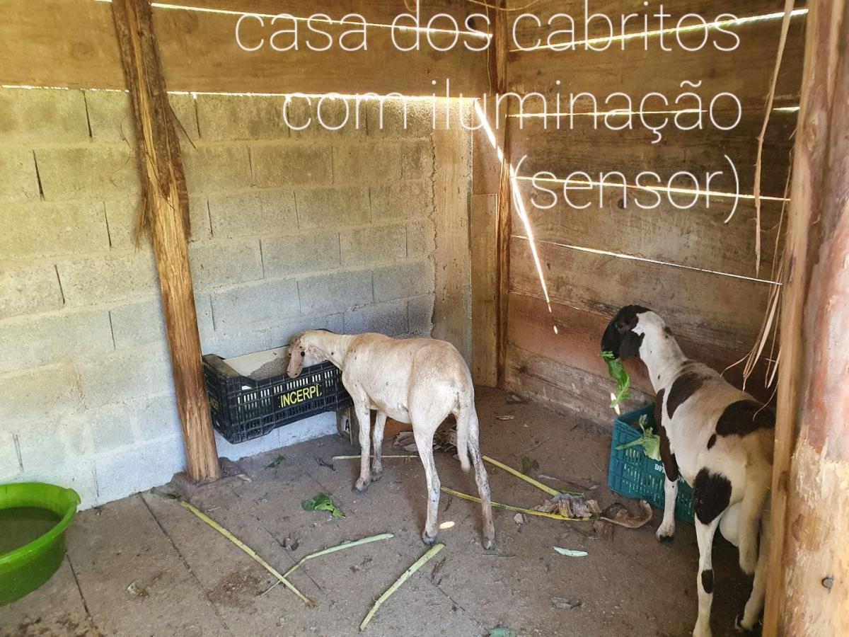 Chácara, 3 quartos, 4250 m² - Foto 15