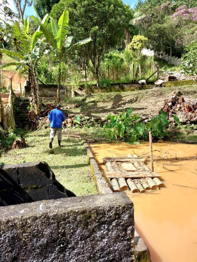 Chácara, 3 quartos, 5866 m² - Foto 3