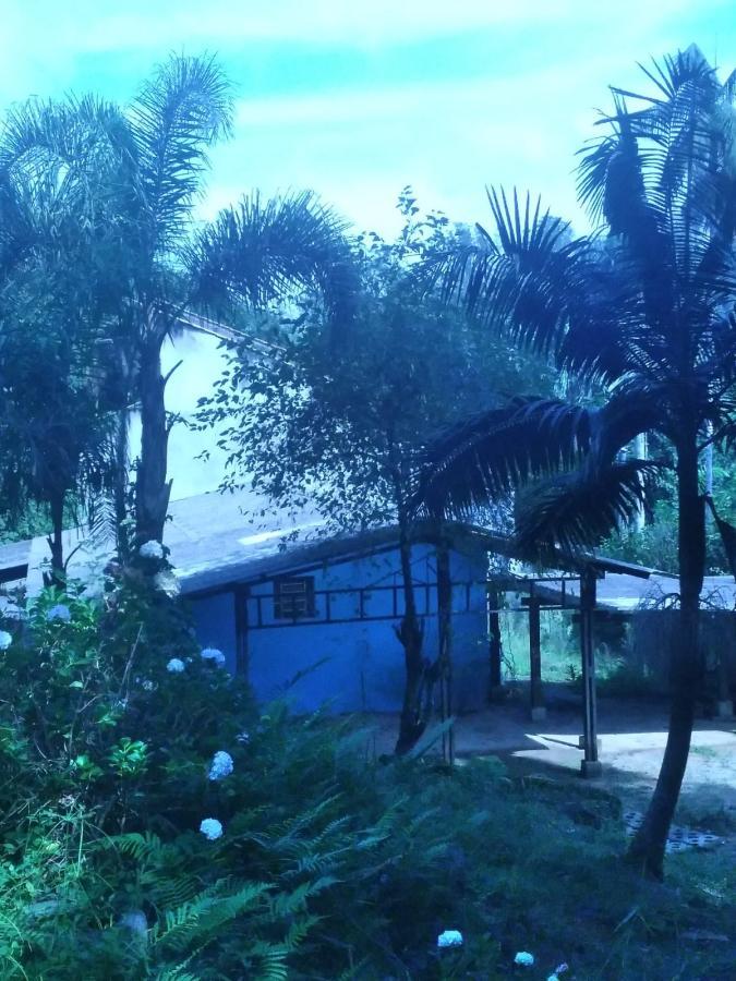 Chácara, 3 quartos, 3787 m² - Foto 2