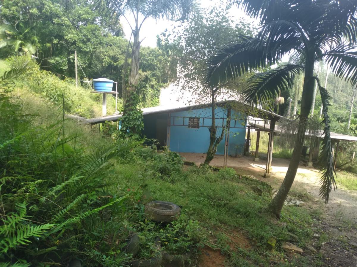 Chácara, 3 quartos, 3787 m² - Foto 7