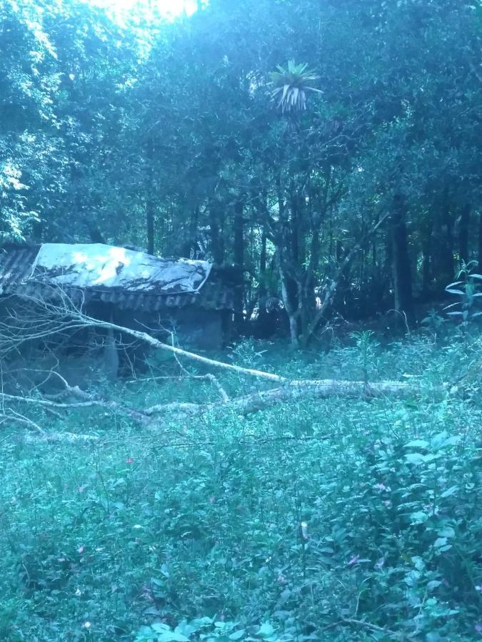 Chácara, 3 quartos, 3787 m² - Foto 8