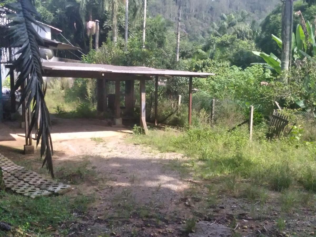 Chácara, 3 quartos, 3787 m² - Foto 9