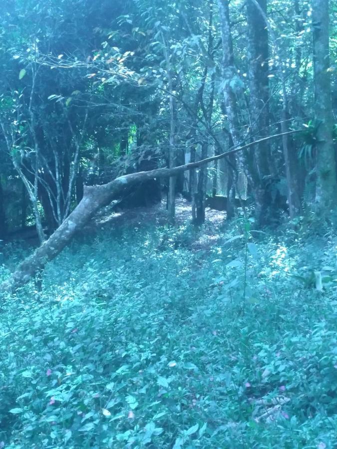 Chácara, 3 quartos, 3787 m² - Foto 10