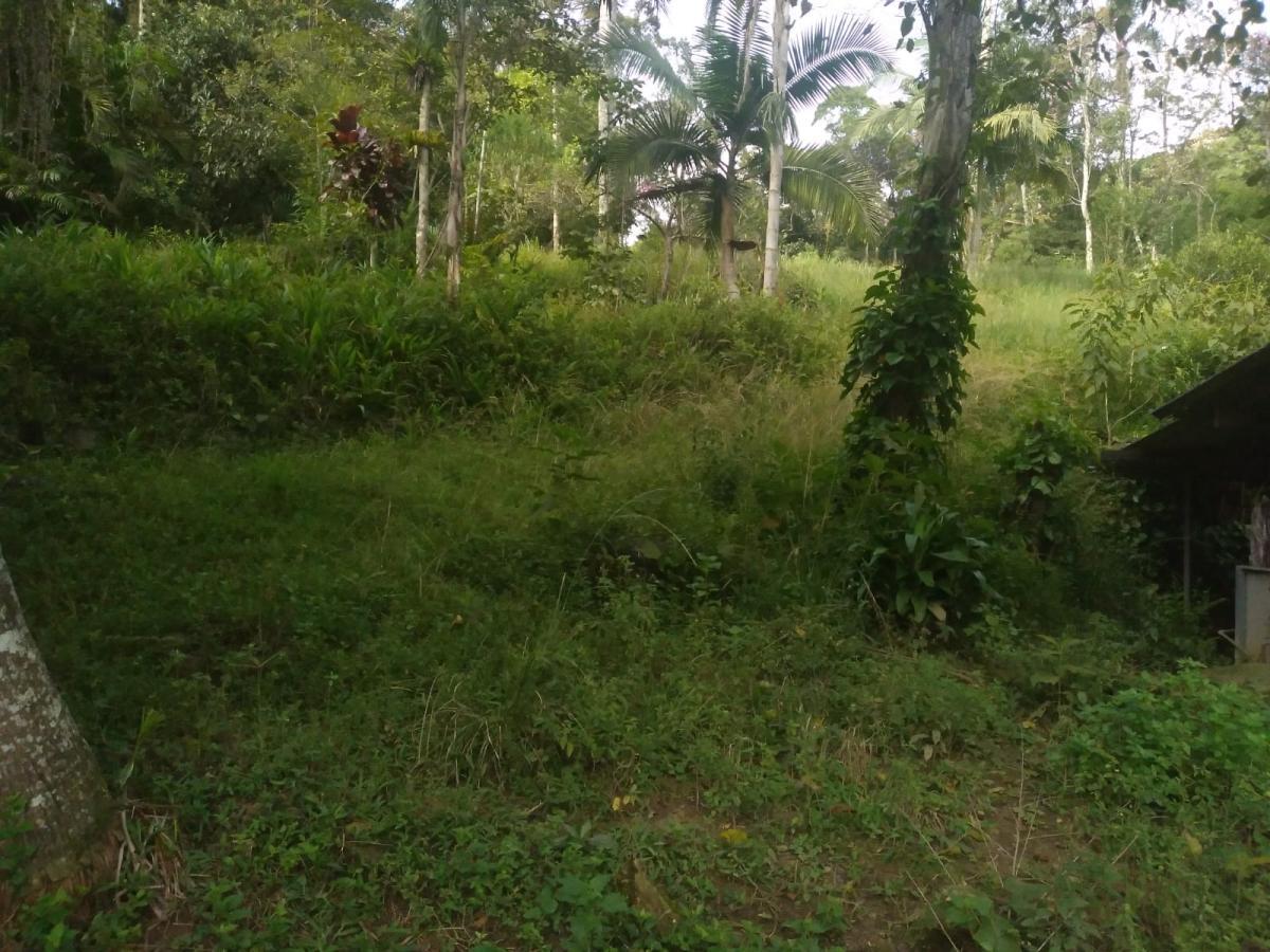 Chácara, 3 quartos, 3787 m² - Foto 11