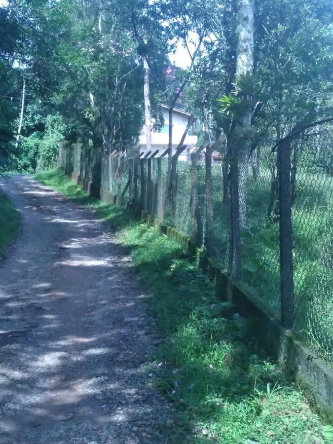 Chácara, 3 quartos, 3787 m² - Foto 14