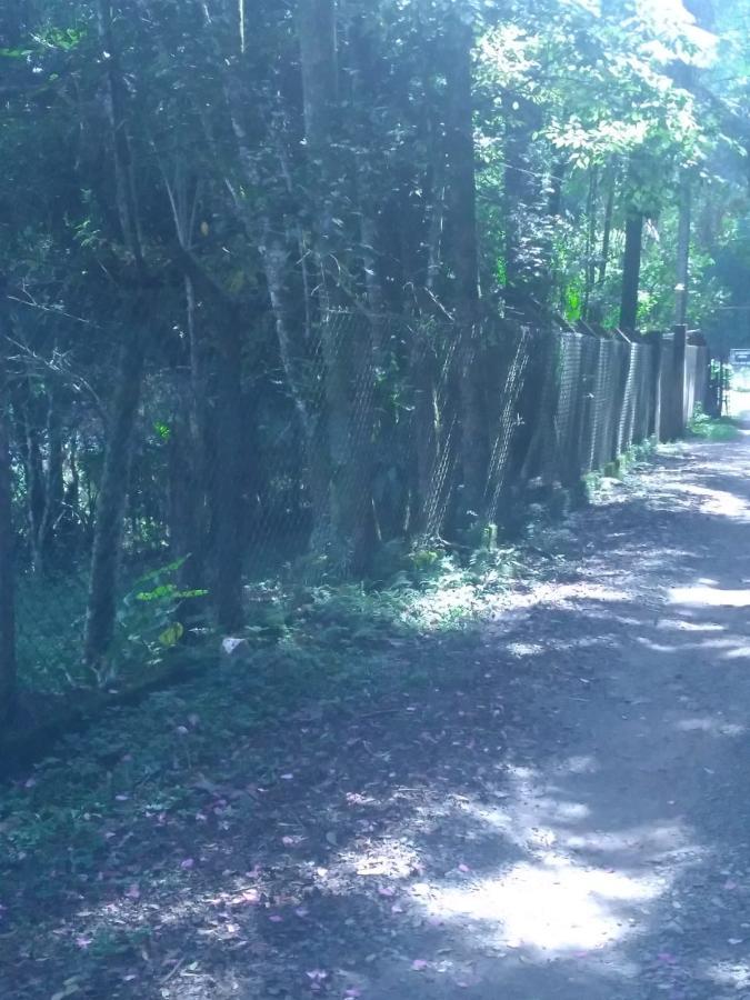 Chácara, 3 quartos, 3787 m² - Foto 15