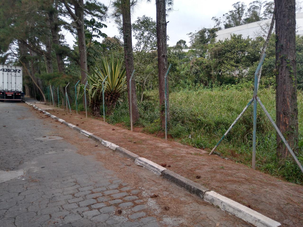 Depósito-Galpão - Foto 46