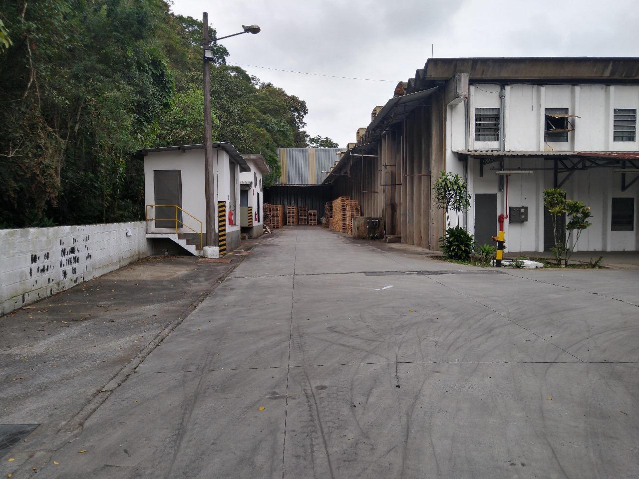 Depósito-Galpão - Foto 32