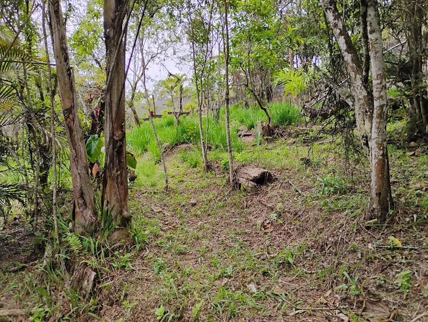 Chácara, 2 quartos, 2300 m² - Foto 21