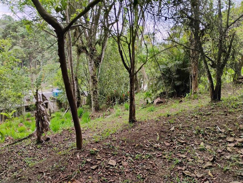 Chácara, 2 quartos, 2300 m² - Foto 22