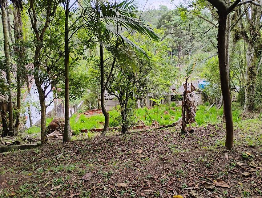 Chácara, 2 quartos, 2300 m² - Foto 23