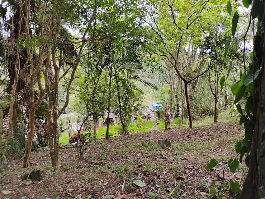 Chácara, 2 quartos, 2300 m² - Foto 26