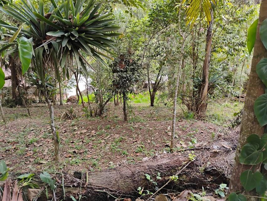 Chácara, 2 quartos, 2300 m² - Foto 31