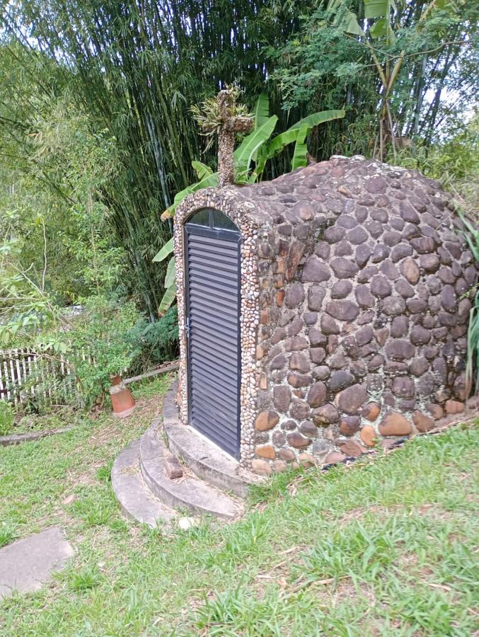 Chácara, 2 quartos, 2300 m² - Foto 12