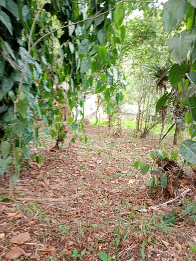 Chácara, 2 quartos, 2300 m² - Foto 34