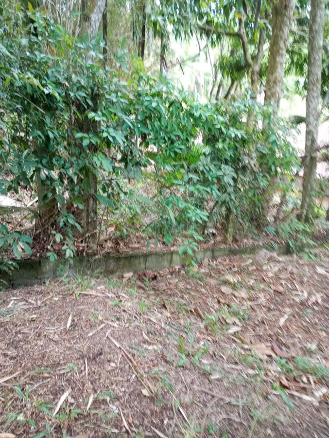 Chácara, 2 quartos, 2300 m² - Foto 33