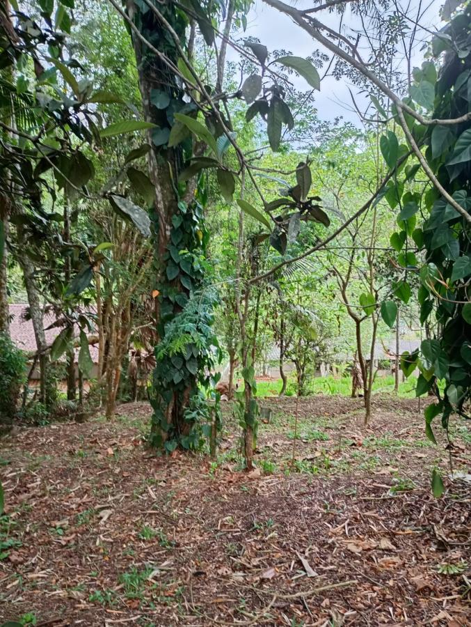 Chácara, 2 quartos, 2300 m² - Foto 35