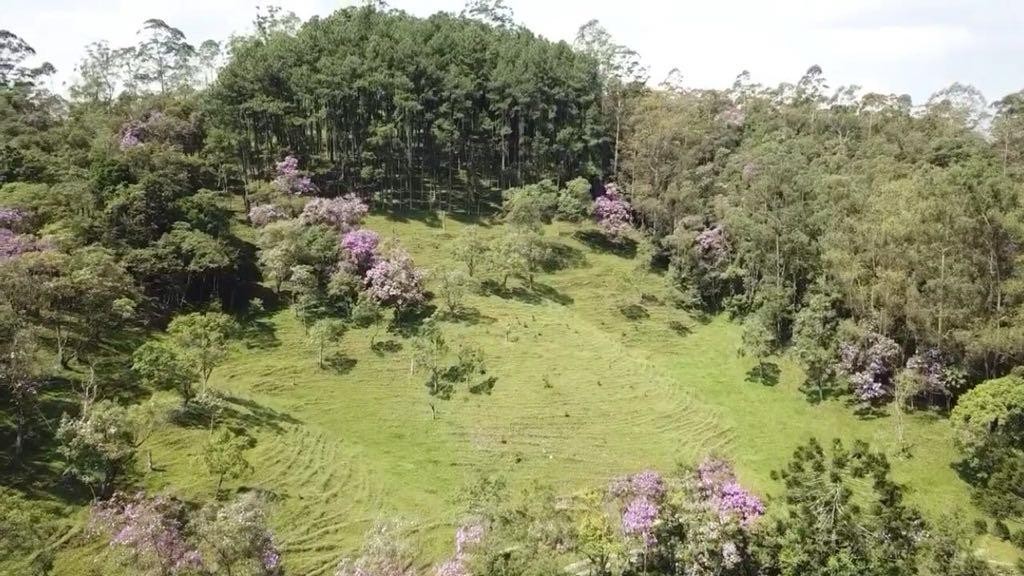 Sítio, 4 quartos, 11 hectares - Foto 2