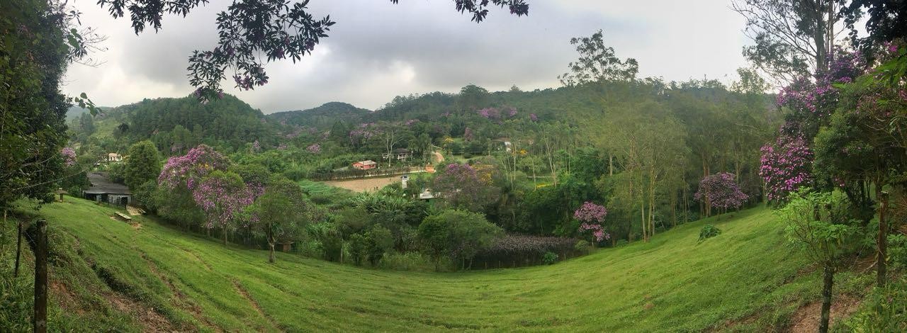 Sítio, 4 quartos, 11 hectares - Foto 7