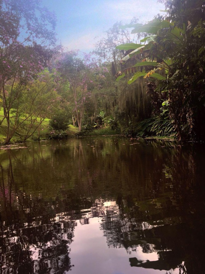 Sítio, 4 quartos, 11 hectares - Foto 8