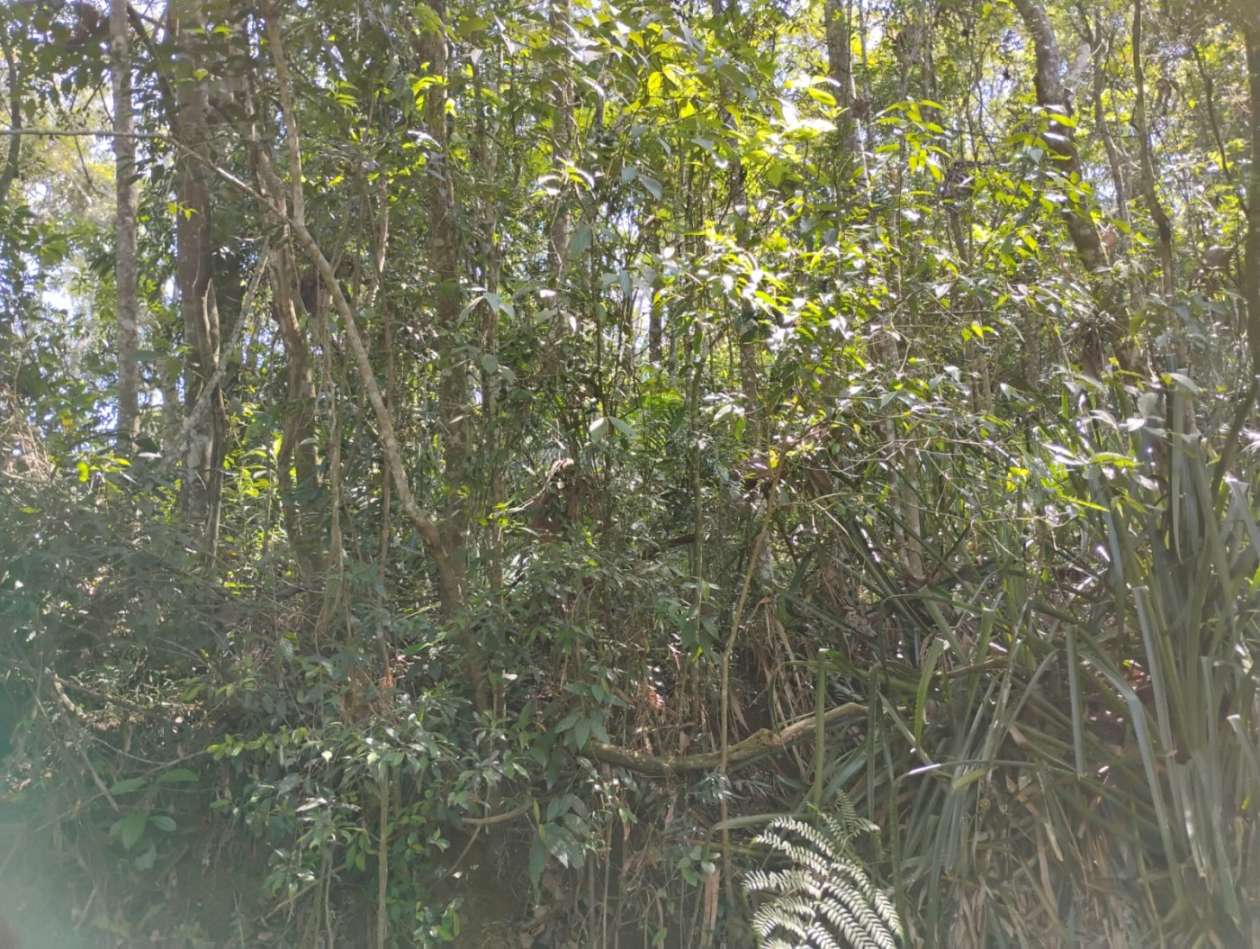 Terreno, 5570 m² - Foto 2